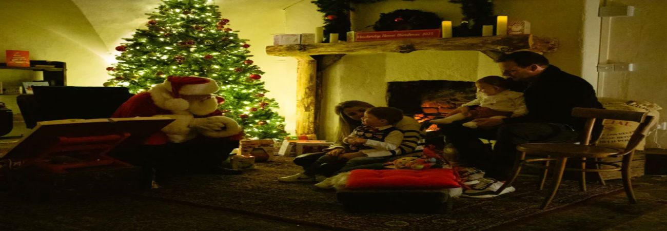 A Christmas to Remember at Newbridge House & Farm