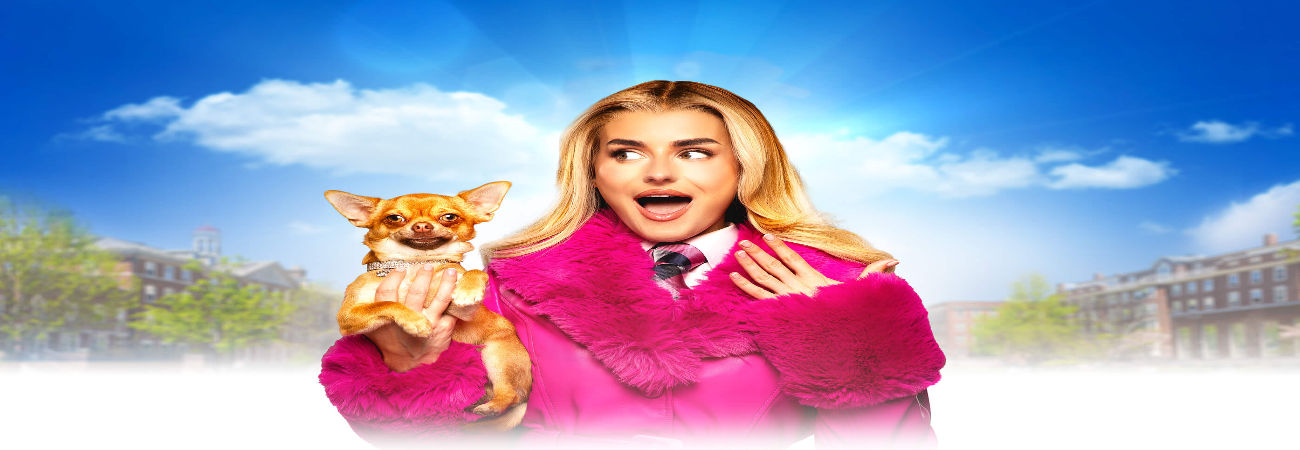 Legally Blonde The Musical 